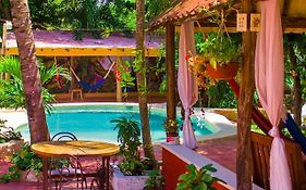 Casa De Los Pajaros - B&B
