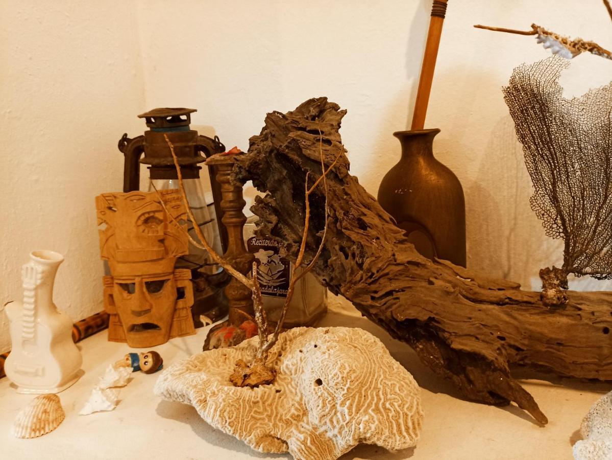 Casa De Los Pajaros - B&B Valladolid  Buitenkant foto