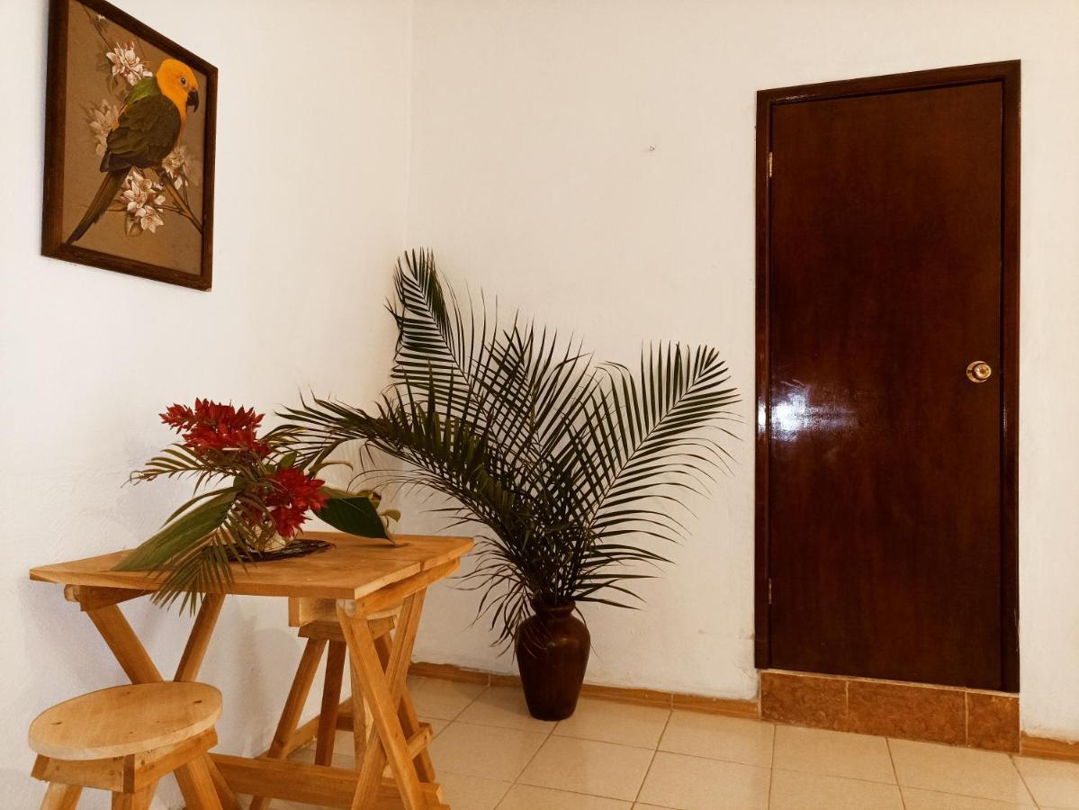 Casa De Los Pajaros - B&B Valladolid  Buitenkant foto