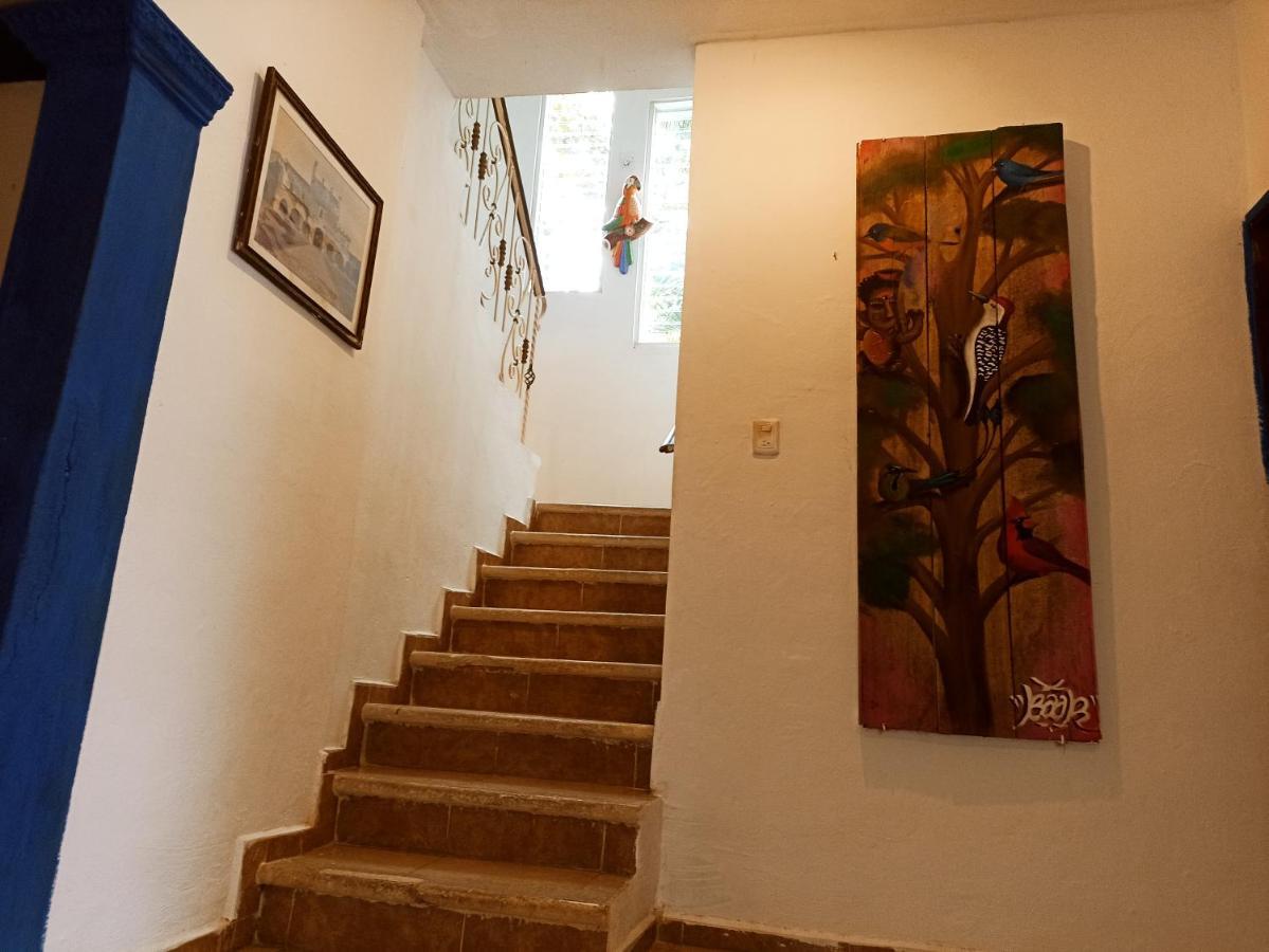 Casa De Los Pajaros - B&B Valladolid  Buitenkant foto