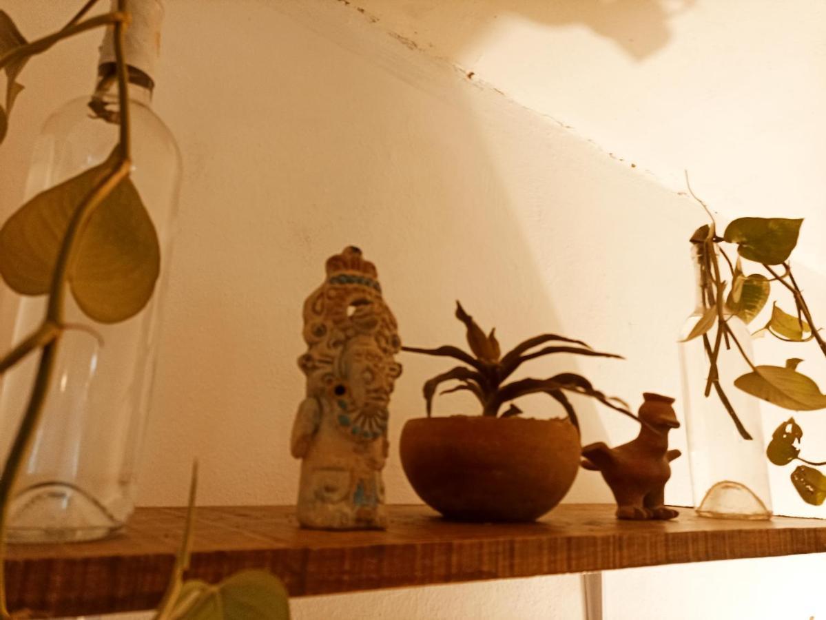 Casa De Los Pajaros - B&B Valladolid  Buitenkant foto