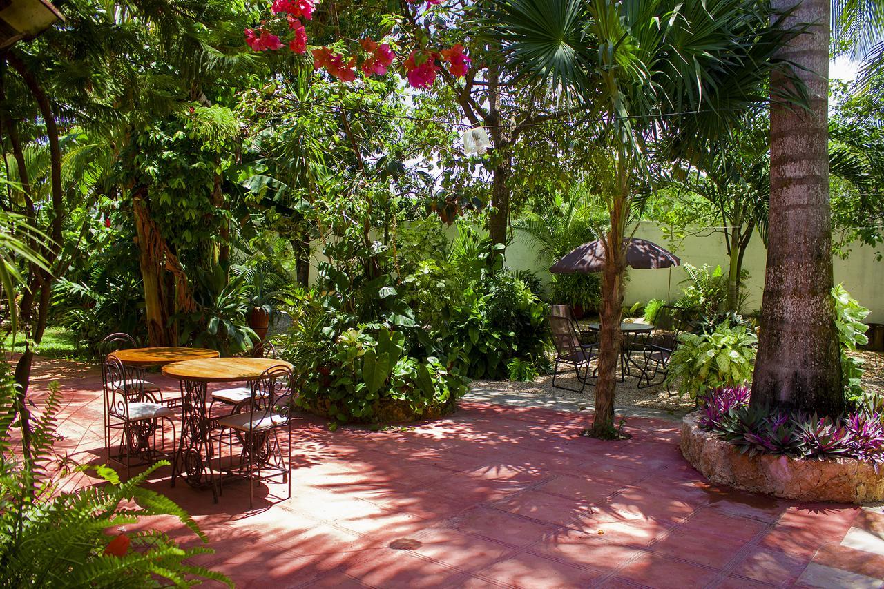 Casa De Los Pajaros - B&B Valladolid  Buitenkant foto